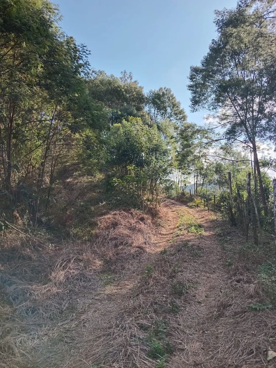 Terreno à venda em Antônio Carlos - Bairro Egito |
