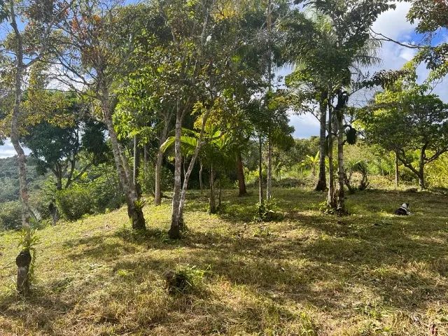 TERRENO COM FANTÁSTICA VISTA EM MULUNGU - SERRA DE GUARAMIRANGA - Foto 4