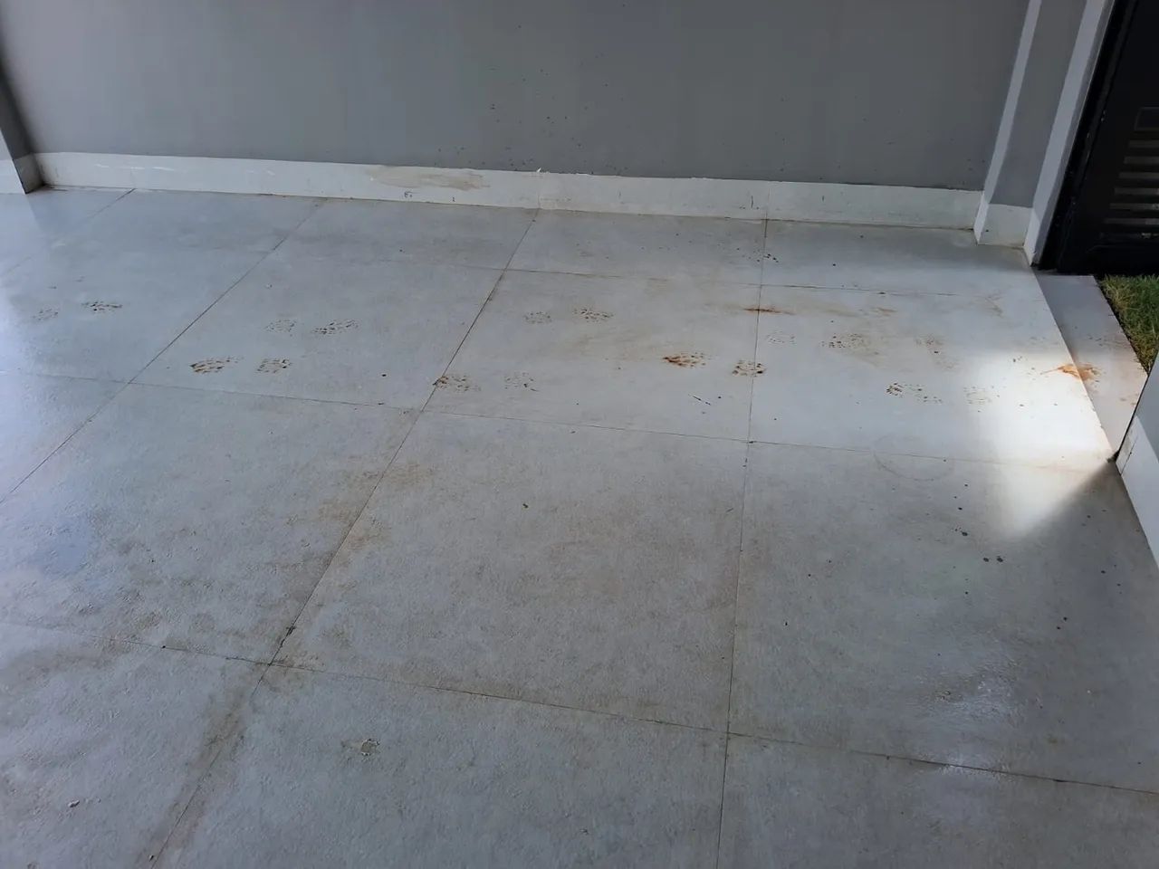 Limpeza Profissional 