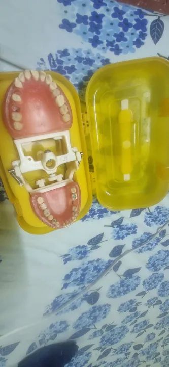 Manequim Odontologico PRONEW