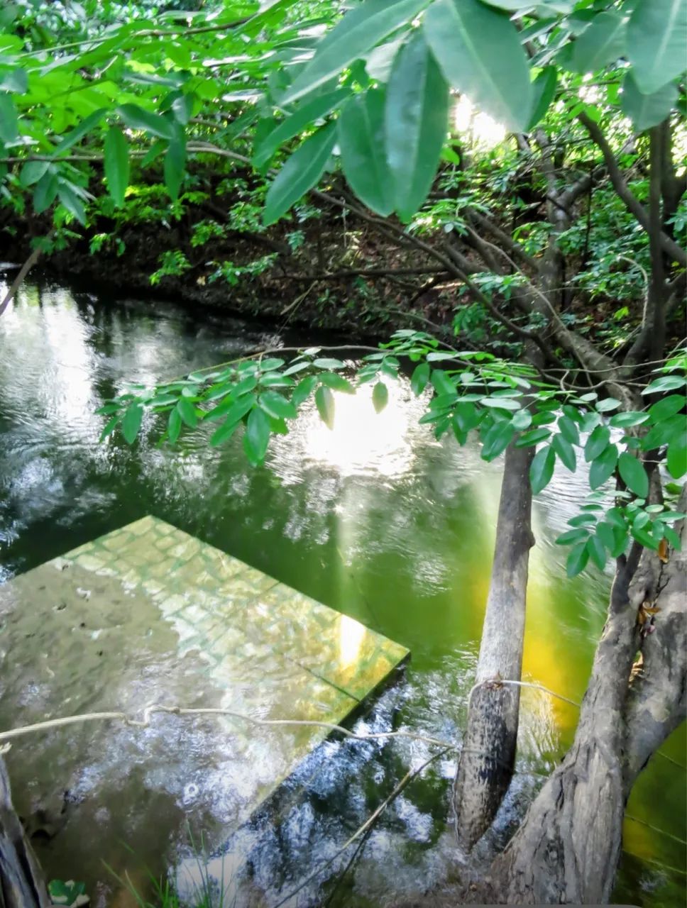 Sítio bom intento 16 km da nova ponte do Caçari e Paraviana  - Foto 5