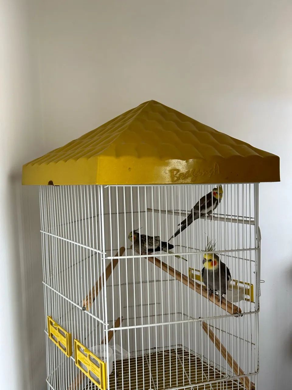 Gaiola - Foto 3
