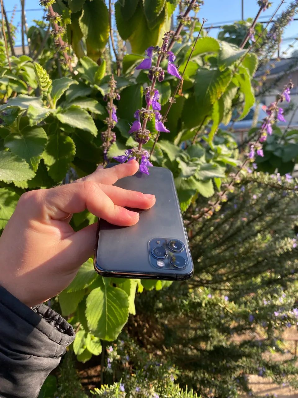 iPhone 11 Pro 64gb - Foto 2