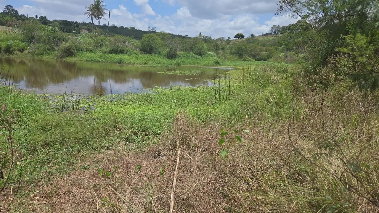 Sitio em Lagoa Seca com muita água  - Foto 4
