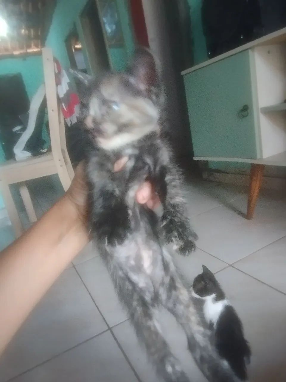 Com 2 meses  - Foto 5