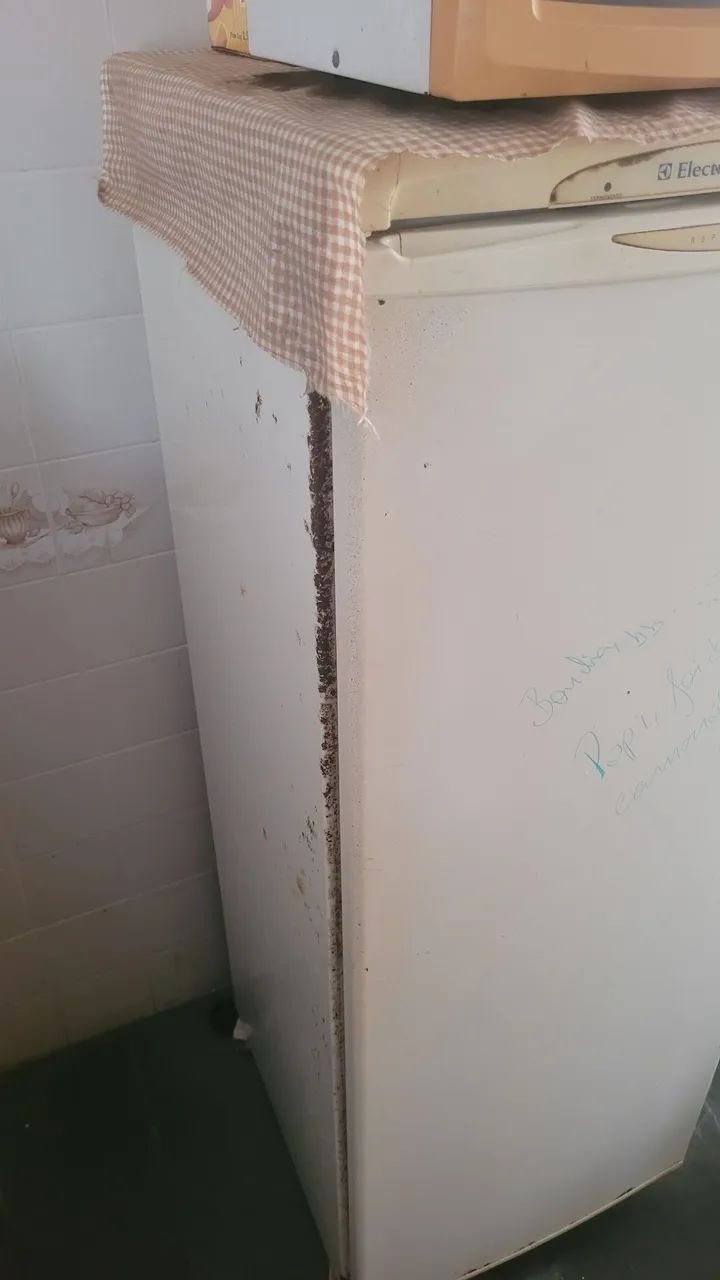 Geladeira + Micro-ondas  - Foto 2