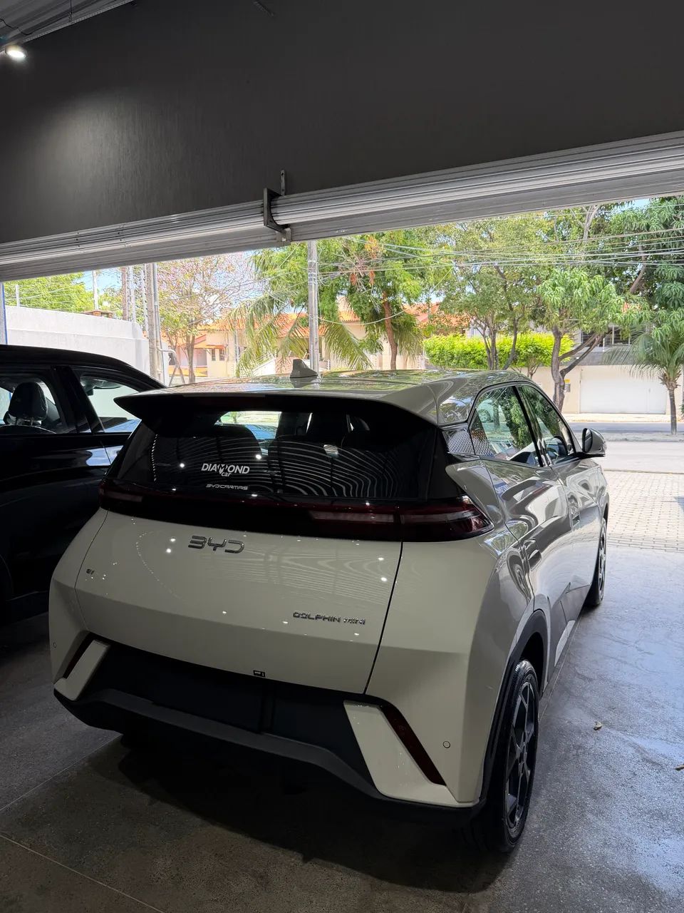 BYD Dolphin Mini (Elétrico) 2027 - Foto 5