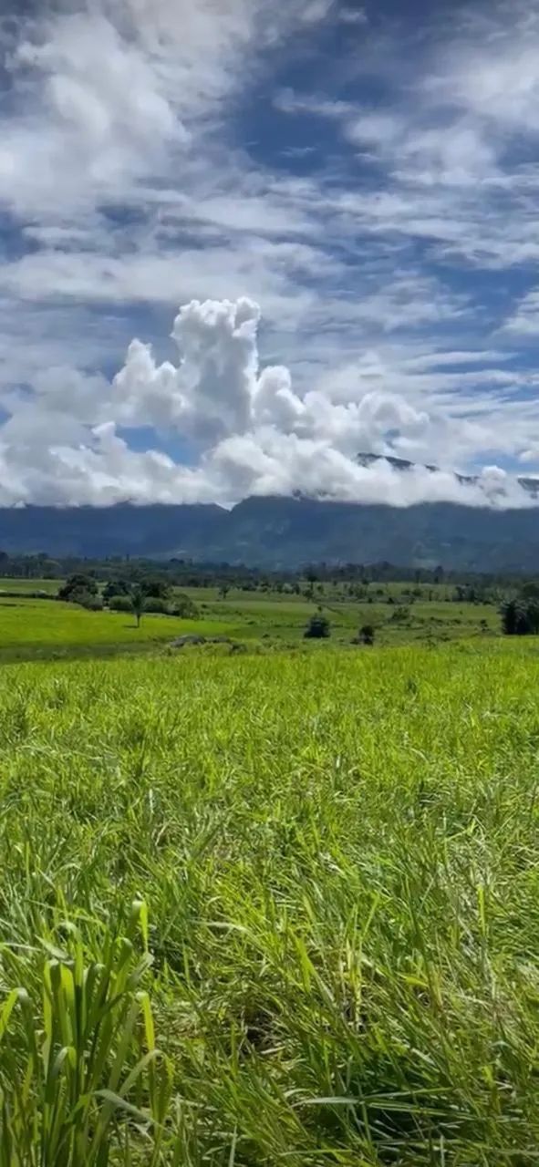 Vende-se fazenda em Campos novos  - Foto 2