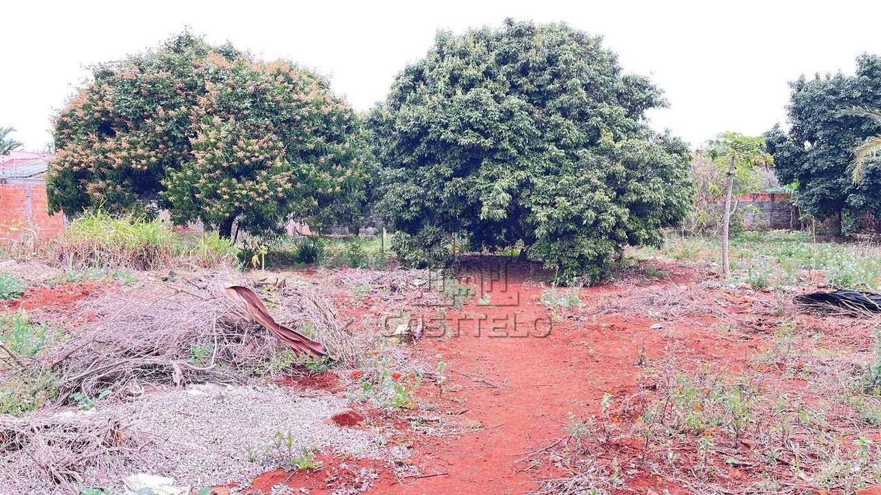 OPORTUNIDADE - TERRENO EM ROLANDIA - Foto 3