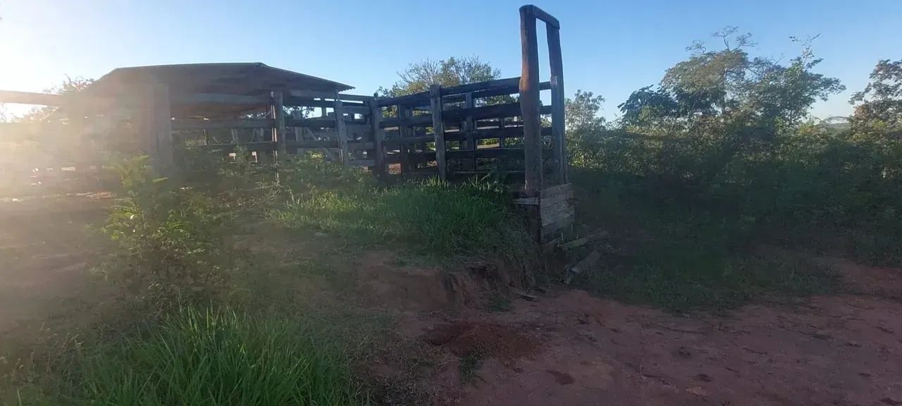 CÓD 595  Arrendamento para Pecuária | Corguinho/MS - Foto 3
