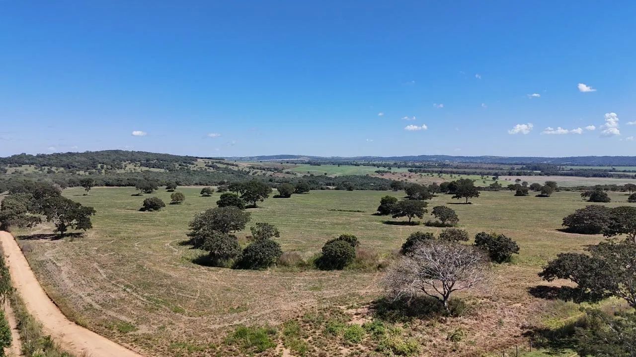 Fazenda em Aragoiânia 