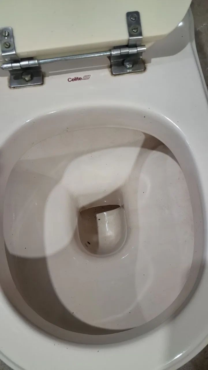Vaso sanitário  - Foto 4