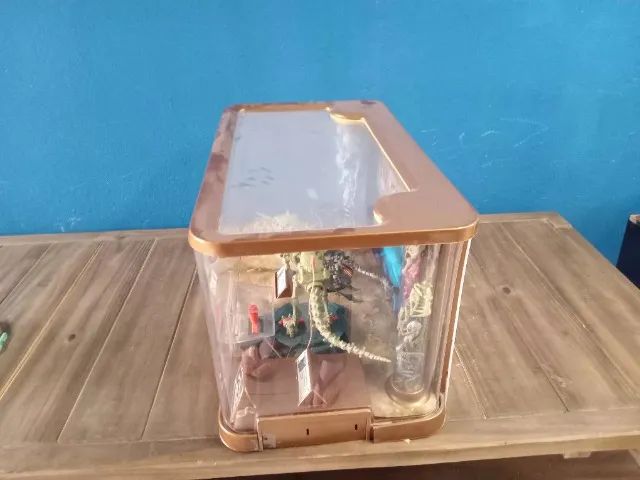 Skeleflex Dinosaur Raro - Foto 4