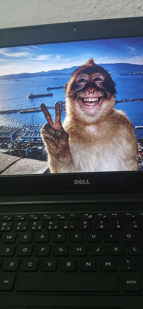 Notebook Dell - Foto 4