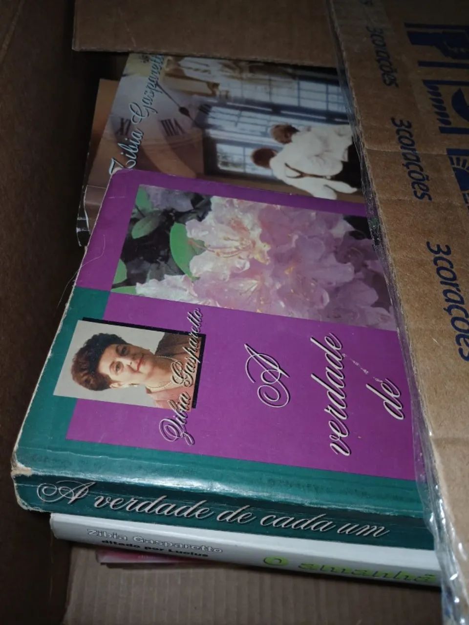 Livro misterioso, hearstopper, jogos de herança, o veneno na montanha e mais - Foto 2