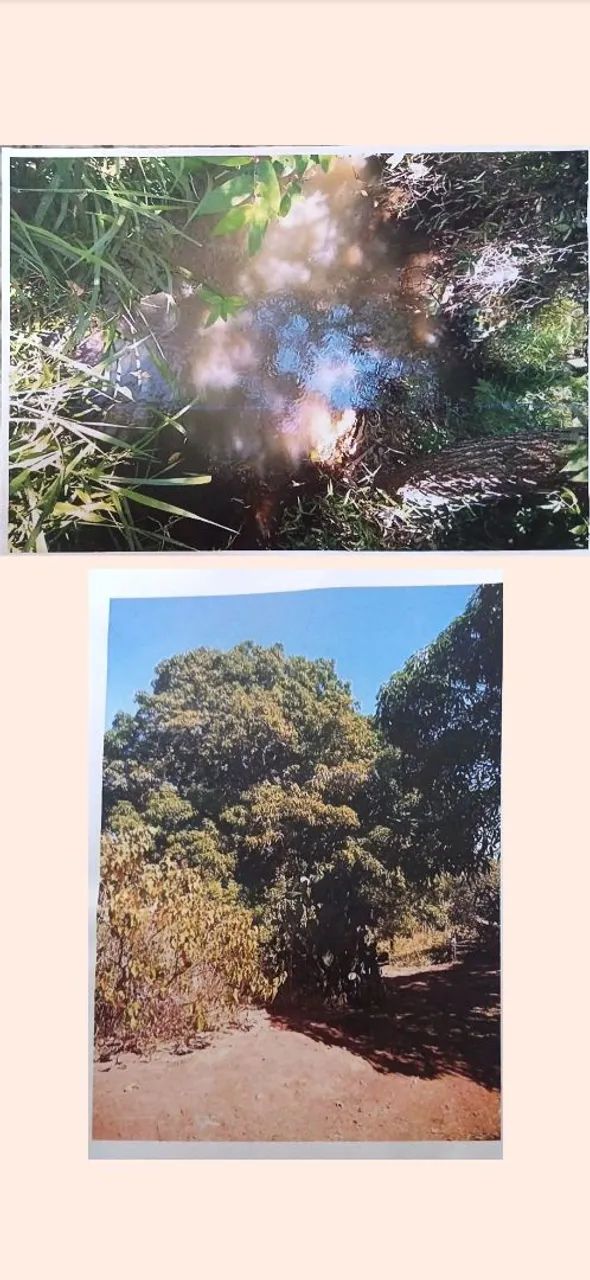 Locação em Minas Gerais