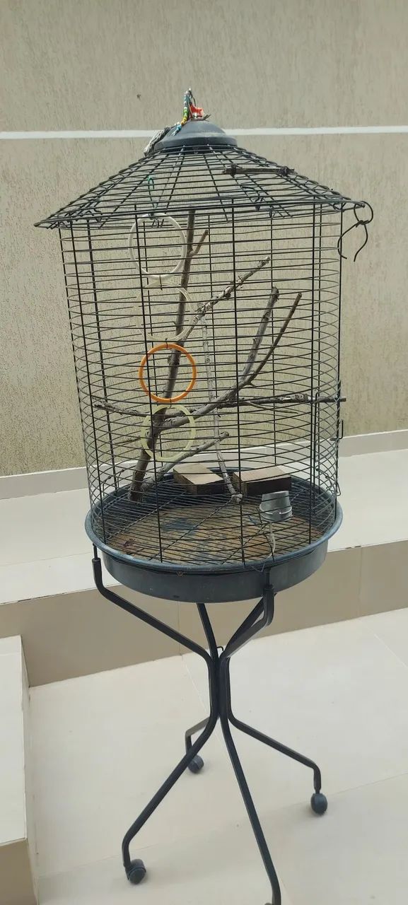 Gaiola 