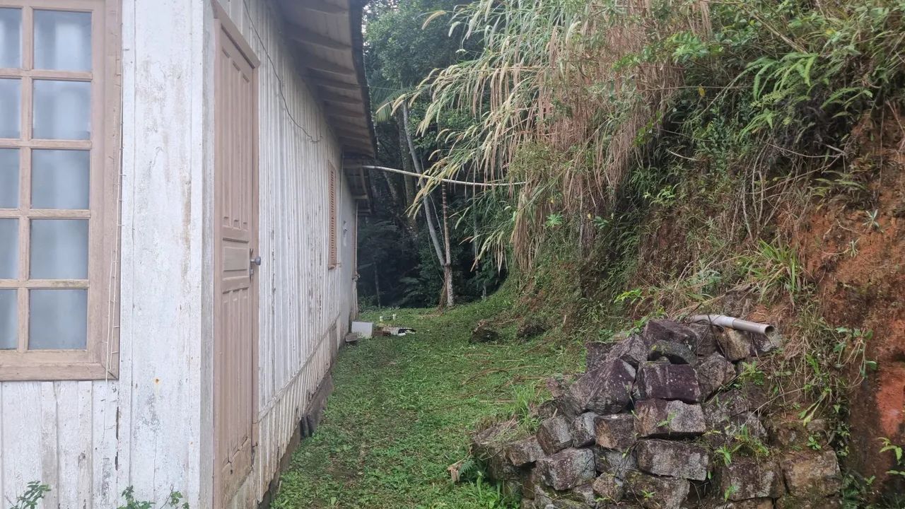 Terreno com 800m² com casa de madeira. - Foto 5