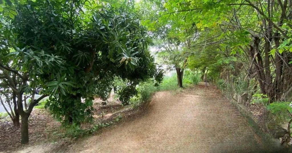 Área à venda- Jardim Gonçalves - Foto 4