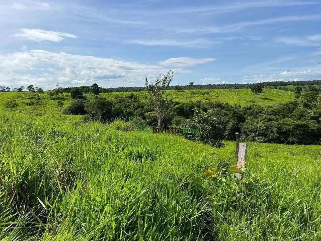 Fazenda de 264 alqueires com aptidão agrícola em Dois Irmãos Tocantins - Foto 4