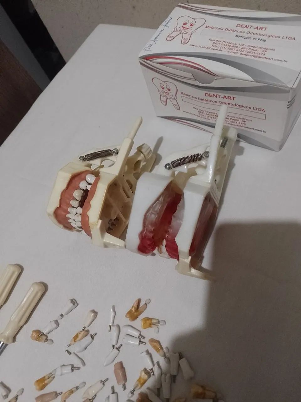 Kit de manequim odontológico  - Foto 5