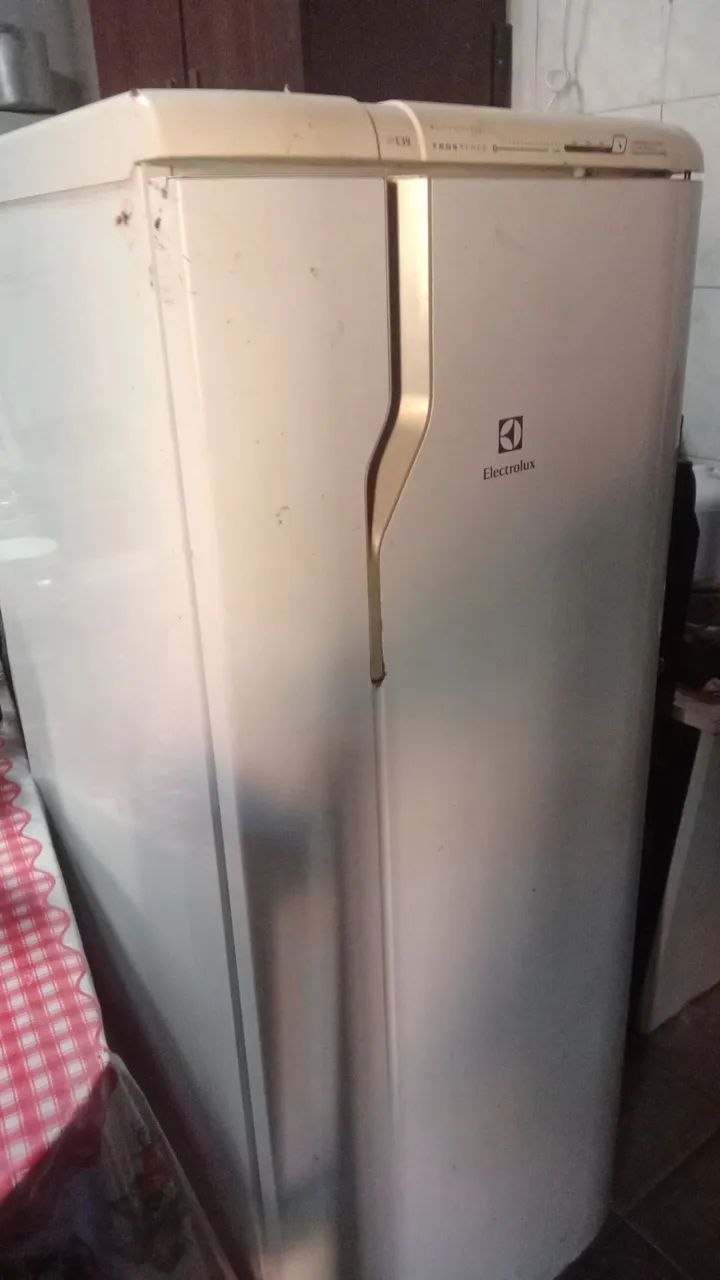 Geladeira  Electrolux  gelo seco