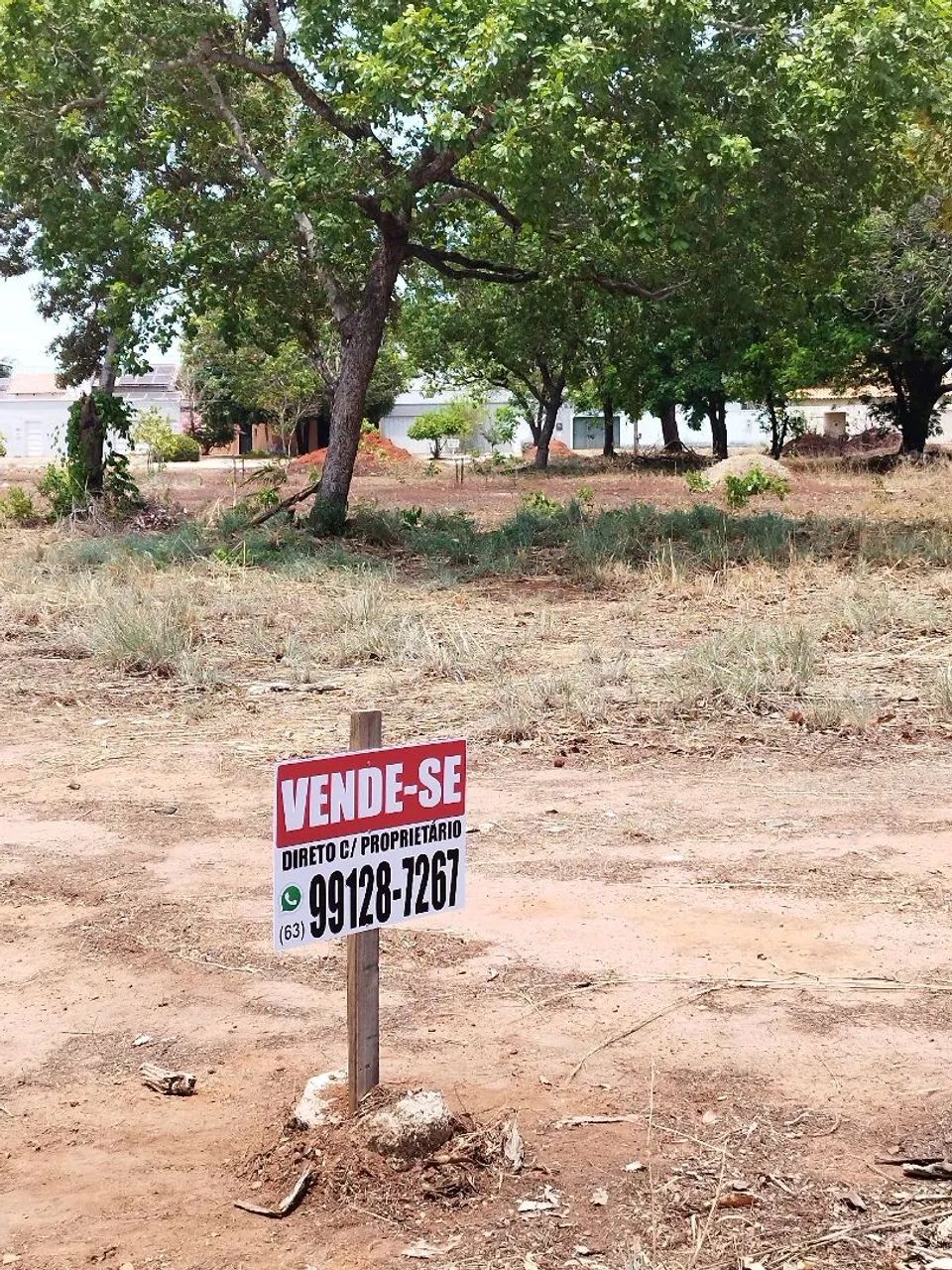 LOTE COMERCIAL QUADRA 305S - Foto 2