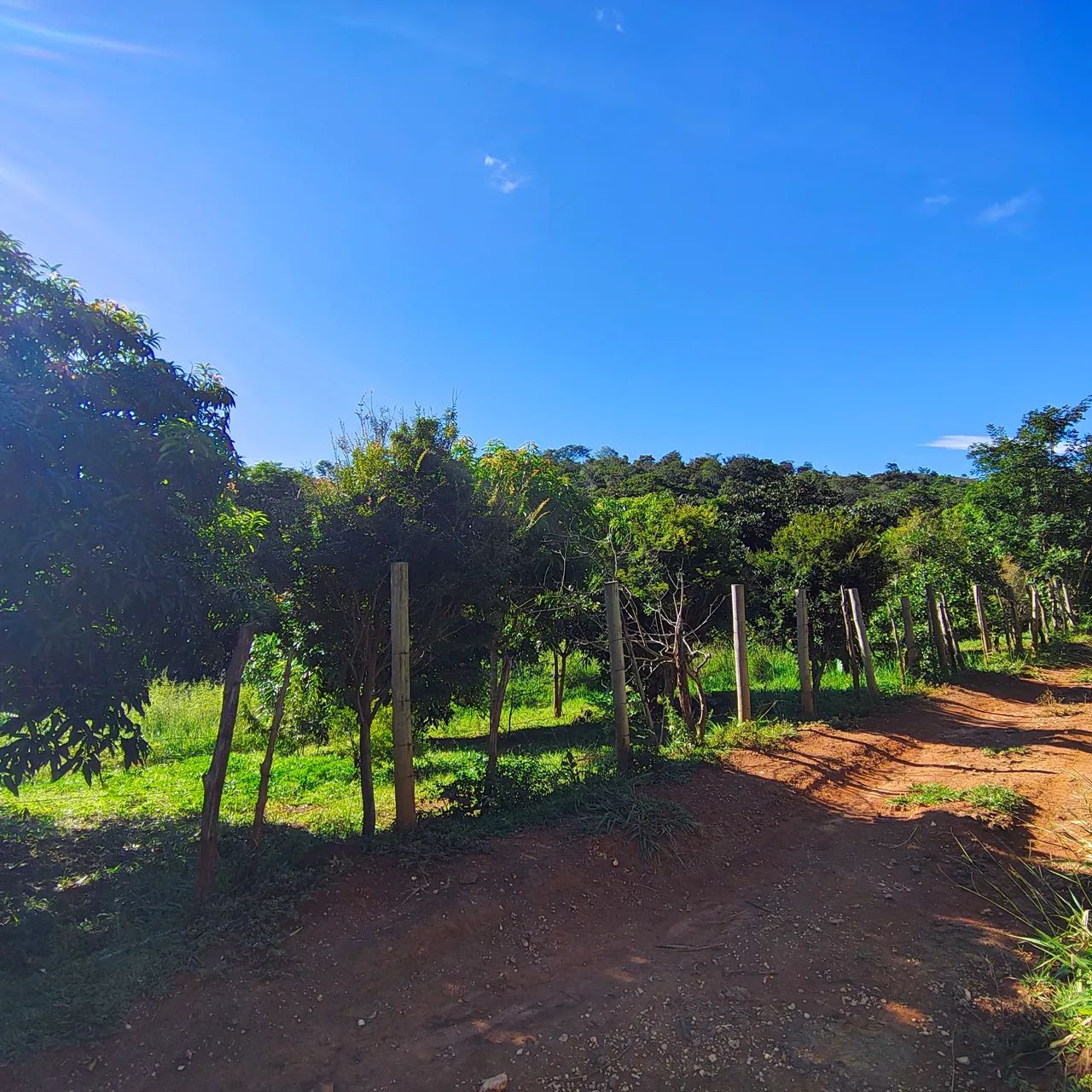 Sítio em Taquaraçu de Minas  - Foto 2