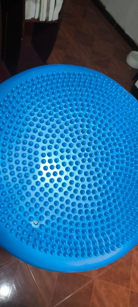 Disco de equilíbrio  - Foto 5