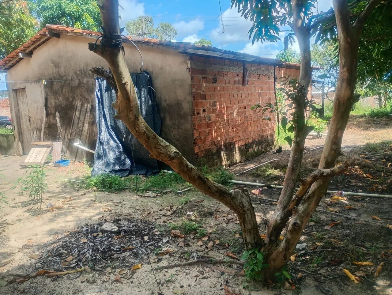 Vendo casa no bairro maracujá  - Foto 3