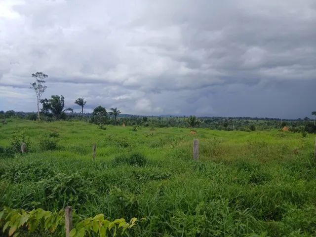 Terra a venda - Foto 5