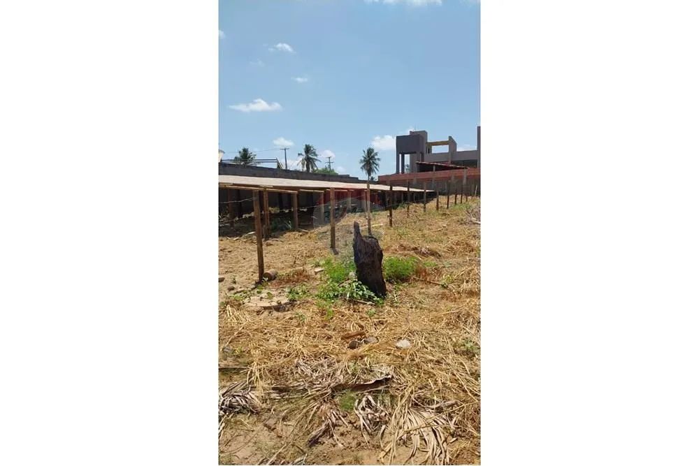LOTE COM USINA SOLAR - CENTRO SÃO MIGUEL DOS MILAGRES - Foto 7