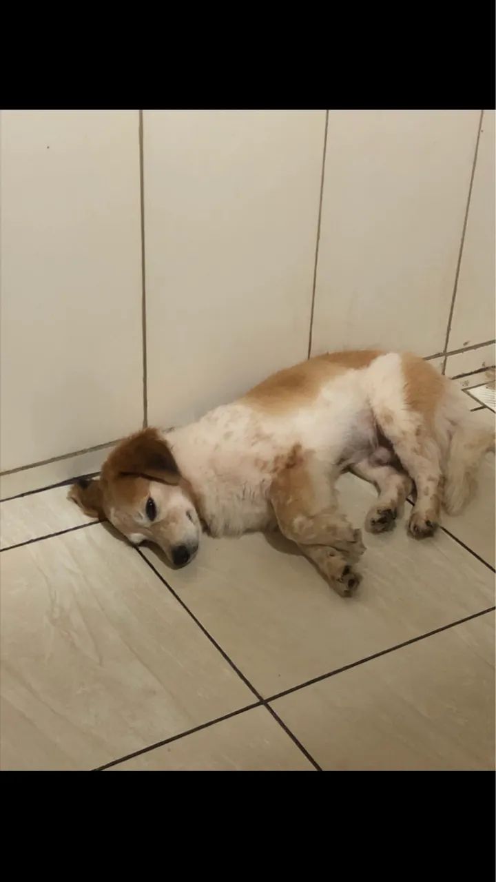 Doação responsável 