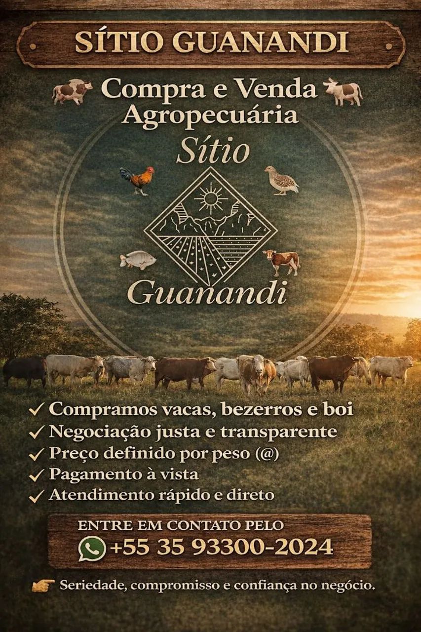 Bezerros macho holandes Itamonte mg 