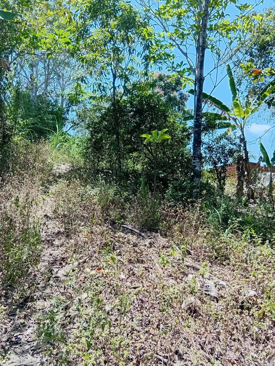 Vendo uma casa - Foto 5