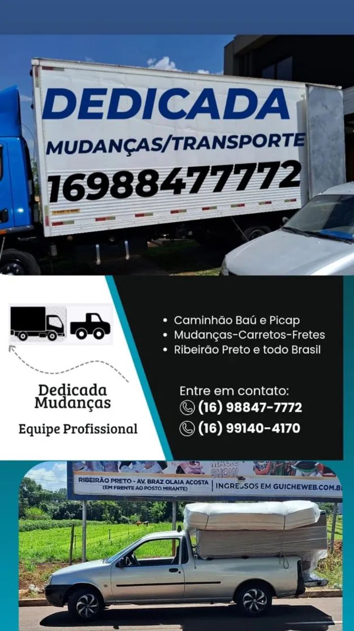 Carretos mudanças profissional 