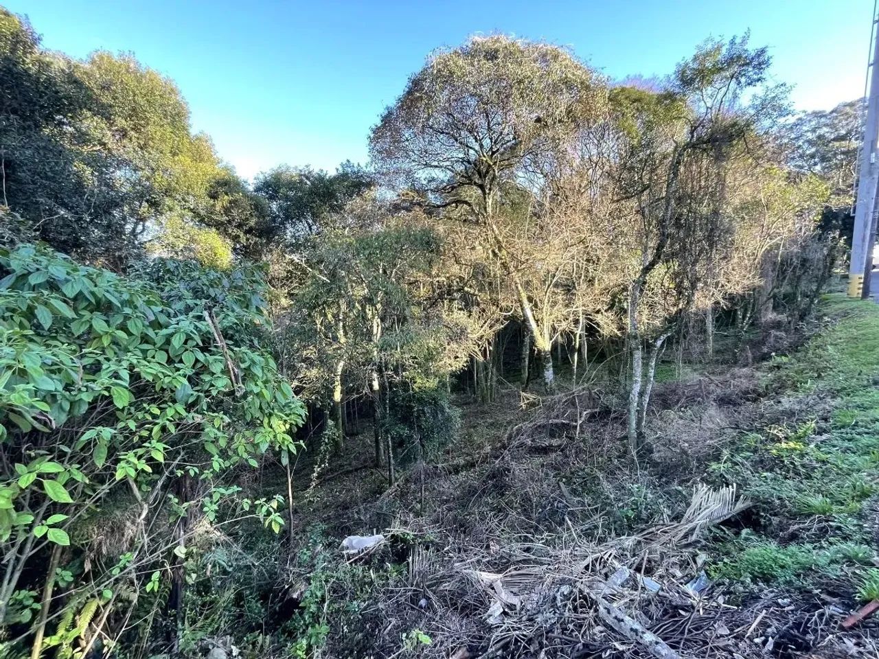 CAXIAS DO SUL - Terreno Padrão - CRUZEIRO - Foto 6