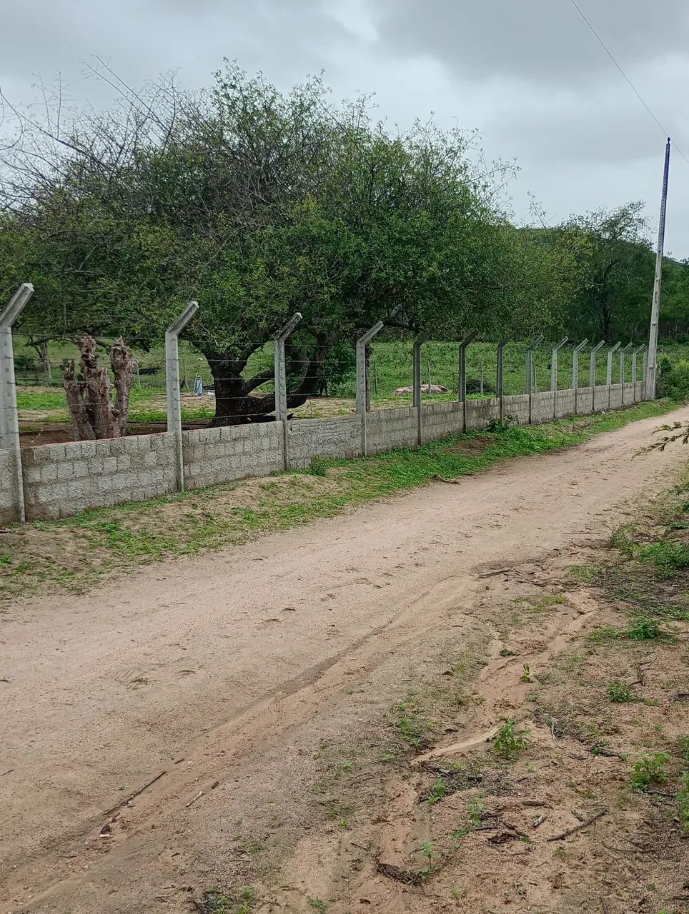 Vende-se uma casa com terras  - Foto 4