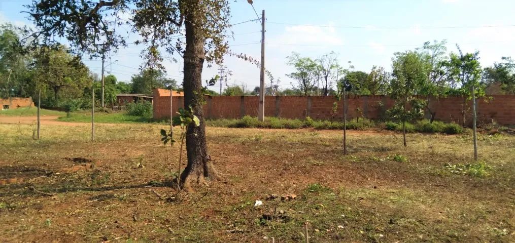Terreno de Esquina (360m²) - Foto 4