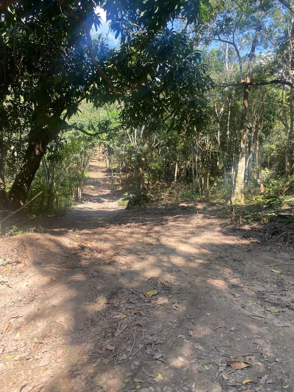 Oportunidade em mulungu - Foto 3