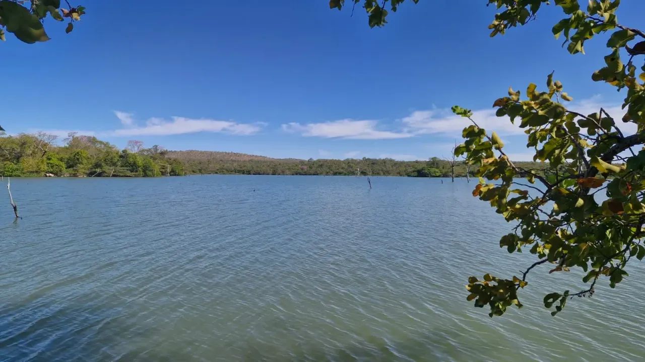Fazenda Primavera - Foto 5