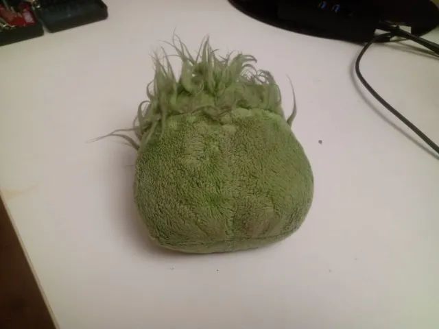 puffle verde - Foto 3