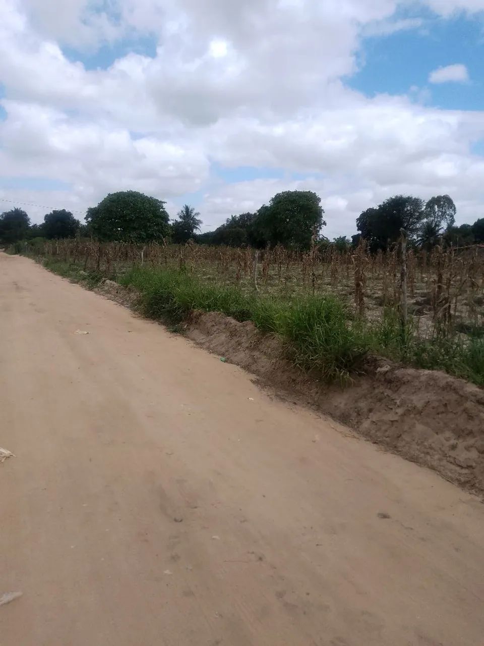 Vende - Se este terreno  - Foto 2