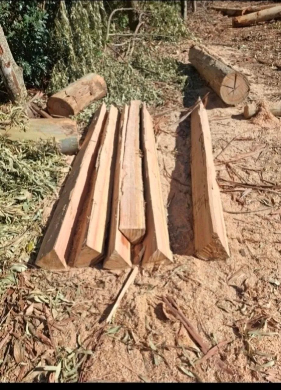 Estaca de eucalipto para cerca lascas - Foto 2
