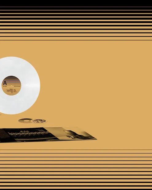 (Lacrado) Gilsons - Eu Vejo Luz Em Maior Proporção Do Que Eu Vejo A Escuridão (LP/Vinil) - Foto 3