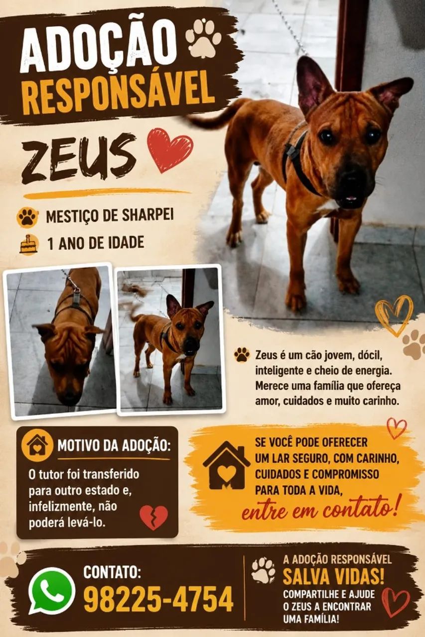 Adoção responsável 