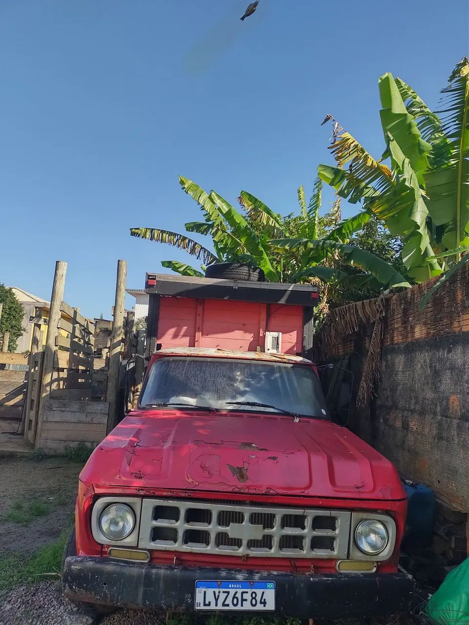 Vendo boiadeira para transporte de gado. - Foto 2