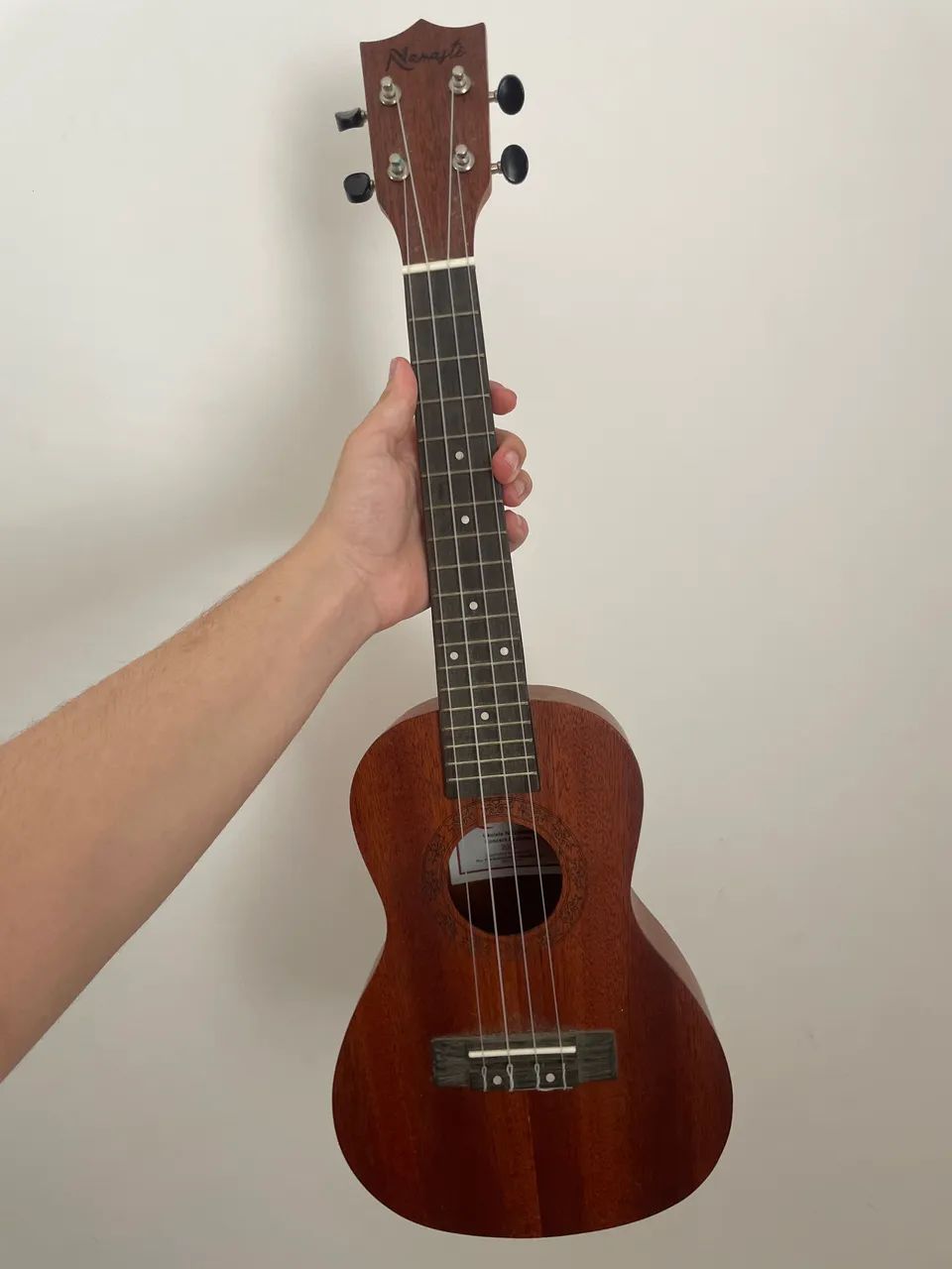 Ukulele 