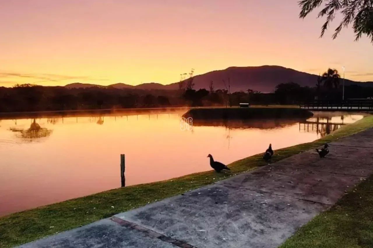 Terrenos à Venda em Ratones Florianópolis 588 m² - Foto 4