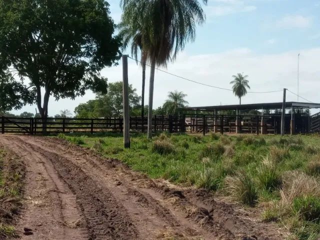 FAZENDA 242 ALQUEIRES  - Foto 2
